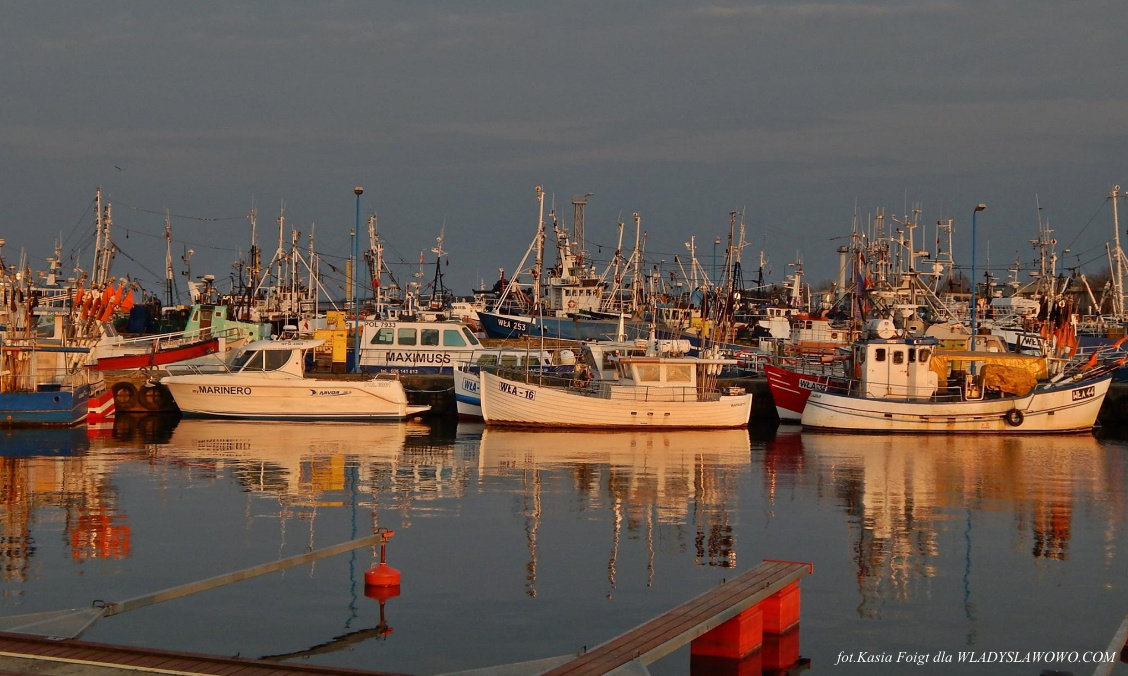 Rejsy wędkarskie w porcie we Władysławowie