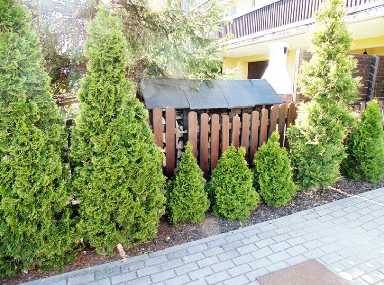 Pokoje Gościnne ŻWIREK ?v=1.0