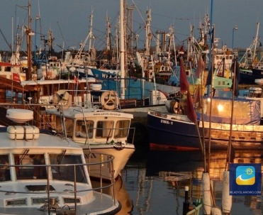 Przetw&oacute;rstwo ryb odbywa się zaraz po rozładunku na terenie portu