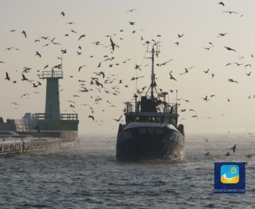 Kutry miejscowych rybak&oacute;w pływają z sygnaturą WŁA na burcie