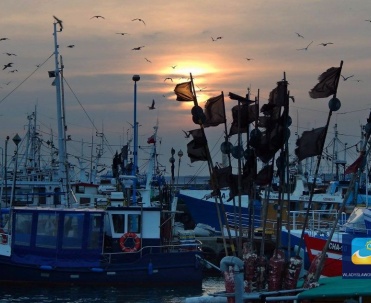 Według zarządu portu bazuje tu 80 kutr&oacute;w rybackich