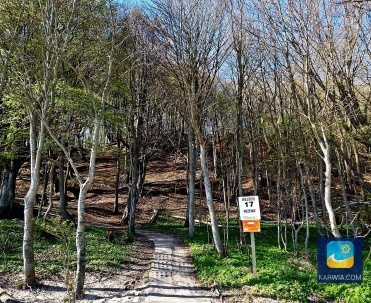 Rezerwat przyrody Przylądek Rozewski.