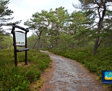 Białog&oacute;ra - ścieżka przyrodniczo-leśna, idealne miejsce na spokojne spacery.